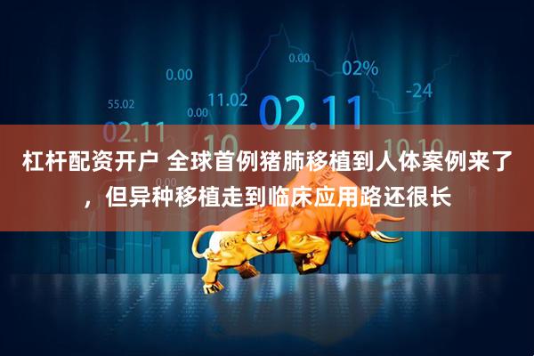 杠杆配资开户 全球首例猪肺移植到人体案例来了，但异种移植走到临床应用路还很长