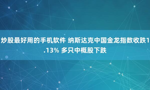炒股最好用的手机软件 纳斯达克中国金龙指数收跌1.13% 多只中概股下跌
